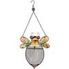 Sunset Vista Designs for The Birds Stained Glass Wire Mesh