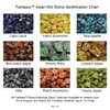 Fantasia Materials: 3 lbs (Best Value) of Exclusive Premium Asia