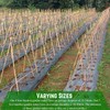 Farm Plastic Supply - Bamboo Garden Stakes - Bambo Sticks,