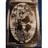 Vinyl Etchings Panda Bear Decal 4"x6" OVAL Etched Glass Look