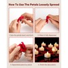 Amagic 1000 Pieces Artificial Rose Petals with 12 Heart LED