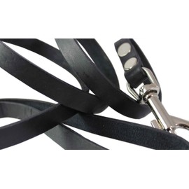 4' Genuine Leather Classic Dog Leash Black 5/8" Wide for Medium and Large Dogs