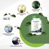 Fairvital Krill Oil Capsules 500 mg – 90 LiCaps® –