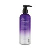MARTHA DEBAYLE ACONDICIONADOR PLATINUM PURPLE 450ml