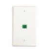 Generic FTTH One Port Keystone Wall Face Plate and a