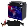 Mighty Max Battery YTX14-BS Battery for Honda MUV700 Big Red