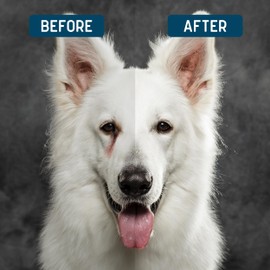 Tear Stain Remover for Dogs - 4 oz Solution - Dissolves Eye Buildup and Gunk, Reduces Staining - Water Based with Aloe Vera and Cucumber Extract - Chew + Heal