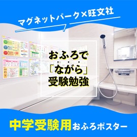 Magnet Park x Wobunsha B4 Bath Poster Magnet Sheet, Junior High School Examination, Astronomical Picture Book