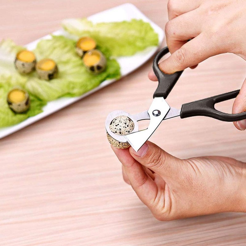 2 Pieces Quail Egg Scissors, Stainless Steel Quail Egg Scissors,