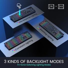 Computer Keyboard Wired, Plug Play USB Keyboard, Low Profile Chiclet Keys, Large Number Pad, Caps Indicators, Foldable Stands, Spill-Resistant, Anti-Wear Letters for PC Laptop (Backlit, 1-Pack)