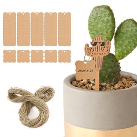 FIDWALL Wooden Potted Plants Decorative Insert Plaque, 10cm Tall, Reusable for Herbs, Seeds, Flowers, Potted Plants with 50 Hanging Plaques to Record Information (Cacti)