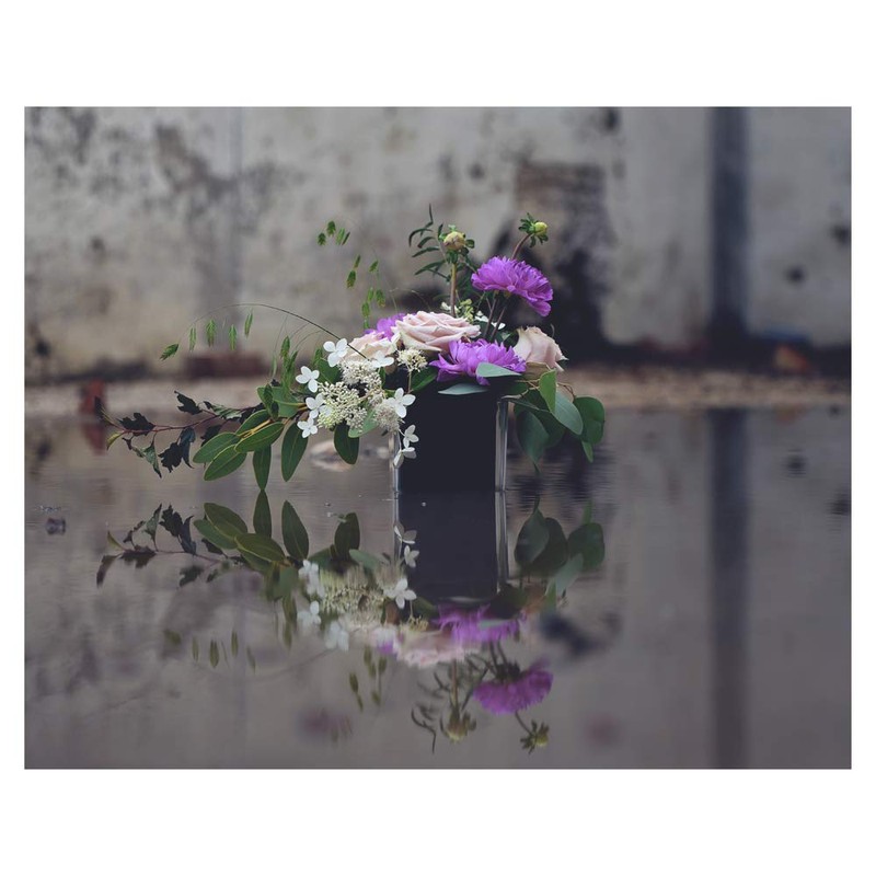 Oasis Midnight Floral Foam Bricks - MaxLife Standard Wet Foam