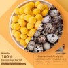 Flyjobs Freeze Dried Cat Snacks Dog Treats Healthy Quail Egg