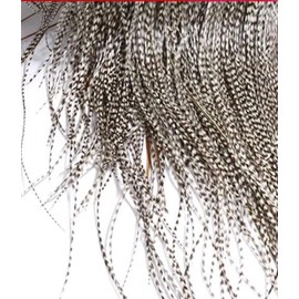 10 Natural Black & White Striped Rooster Saddle Feathers - Micro-Level Fly Tying Feathers for Hook Tying Materials
