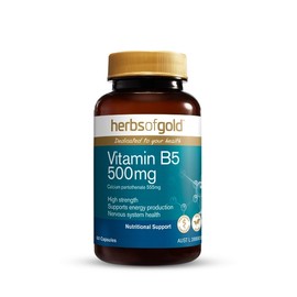 Herbs of Gold Vitamin B5 500mg Cap X 60