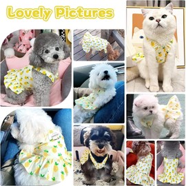 Starwberry Dog Dress Harness and Leash Set Cute Princess Dress Dog Fruit Print Puppy Dresses Girl Dog Clothes for Small Dogs Cats Chihuahua Yorkie (Yellow Pineapple, M (Chest 13", Fits 4-6 lbs))