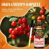 Huckleberry Harvest Essential Oil, 100ml Fall Essential Oil for Diffusers