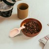 Alipis Set of 10 Small Wooden Tea Spoons for Scooping