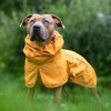 Spark Paws Dog Raincoat, Waterproof Windproof Rain Jacket, for Small