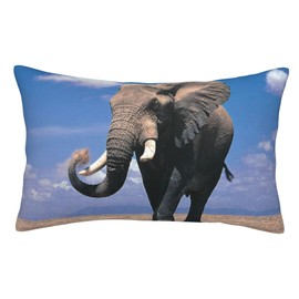 YUMEBLTD Cartoon Cow Pillow Cover, Stylish, Cotton Blend, Washable, Dust Mite Resistant, Moisture Wicking, Antibacterial, Ultimate Touch, Odor Resistant, Soft, Sensitive Skin, Four Seasons (Elephant,