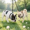 Taglory Double Dog Leash | Reflective Rope | No Tangle