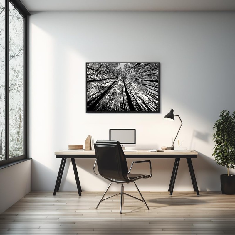Bgraamiens Puzzle-Forest in Black and White-1000 Pieces Creative Black and