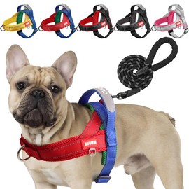 LiebeDD Dog Harness with Lead for Medium Small Dogs Puppies, Colourful Colour Block Harness, Soft Padded Safety Harness Dog with Handle, Reflective & Lightweight, Red + Blue, M