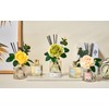 Cocorrina Reed Diffuser Set, Flower Reed Diffuser Black Forest 6.7