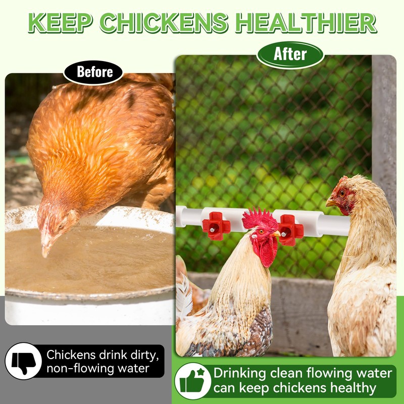 Enhon 12 Pack Chicken Nipples Waterer with 1/2'' PVC Tee