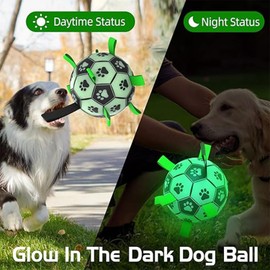 Healthman Glow in the Dark Dog Toy Ball with Strap, Interactive Dog Toys Soccer for Dogs and Middle, Lights Up (Medium)