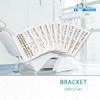 Protector Soportes dentales, 200 unidades/10 paquetes de Brackets de acero