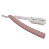 SURGICAL ONLINE Classic Professional Straight Edge Razor with 10 Treet