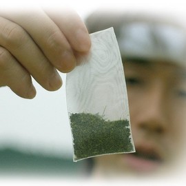 Kimura-en Cold Breasted Sencha (Kakegawa Deep Steamed Tea) Tea Bags, 0.1 oz (4 g) x 15 Bags, Set of 3