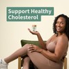 Snap Supplements - Cholesterol Health - Support Healthy Cholesterol Levels