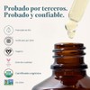 Cliganic Organic Argan Oil 480 Usda Certified Pure Single Ingredient