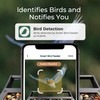 TT Nature Upgrade Squirrel-Proof Bird Feeder with Camera, Solar Powered,