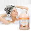 Ginger Lily Farms Botanicals Coco Mango Moisturizing Shampoo, 100% Vegan,
