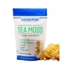 Radar Plus Nutrition Royal Gold Sea Moss 5oz