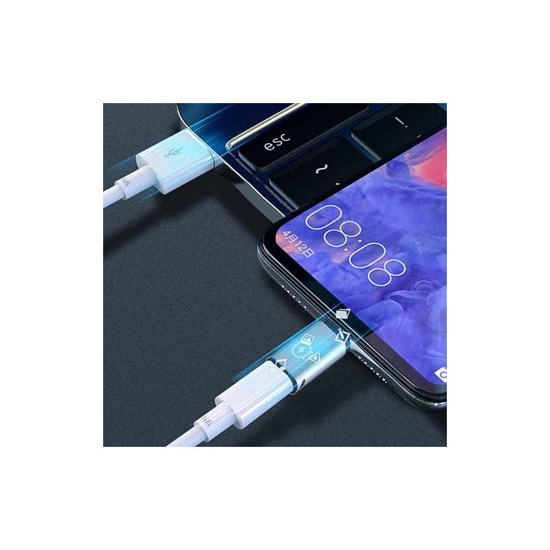 Lumen Lumen Lightning Female to USB Type-C Male Converter Adapter