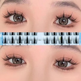 LASHIDOL Partial False Eyelashes, Large Capacity, Partial False Eyelashes, False Eyelashes, Parts, False Eyelashes, Natural False Eyelashes, Non-Barred False Eyelashes (10rows-Leaf)