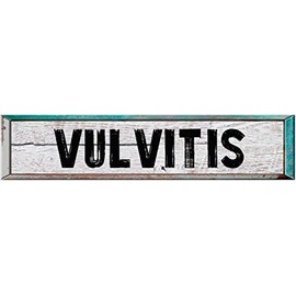 ANY AND ALL GRAPHICS Vulvitis 4"x18" Rectangle White Washed Weathered Painted Wood Look Novelty décor Composite Aluminum Beach Cottage Sign.