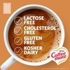 Nestle Coffee mate Original 3 Gram Single Serve Powdered Creamer