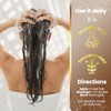 TÍO NACHO Shampoo Anti-Canas Anti-Caída 415ml