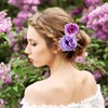 BBTO 21 Pcs Flower Hair Clip Rose Hair Clips Barrettes