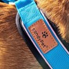 Reflective Anti-Pull Harness in "Y" Shape: Ideal for Lebreles: Italian