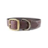 Cango Collar para Perro de Piel Hecho a Mano 100%