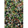 SPRINKLY - Sprinkle Shapes - Dinosaurs (Camouflage Colours) - 25g