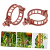 CAXUSD 1set Weatherproof Tomato Stem Support Clips Reusable Gardening Clips