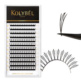 Premade Spire Eyelash Extension Anime Anime Fairy Lash Fans C Curl Wispy Natural Lash Extensions 0.07mm Black Individual Lashes Feather Shape Fairy Lashes Extension(0.07-C-8-15mm Mix)