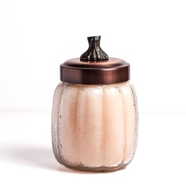 A Cheerful Giver 15 oz Pumpkin Jar Scented Candle - Honey Pear Cider - Single Wick 75 Hour Burn Time - Fall Home Candle Décor